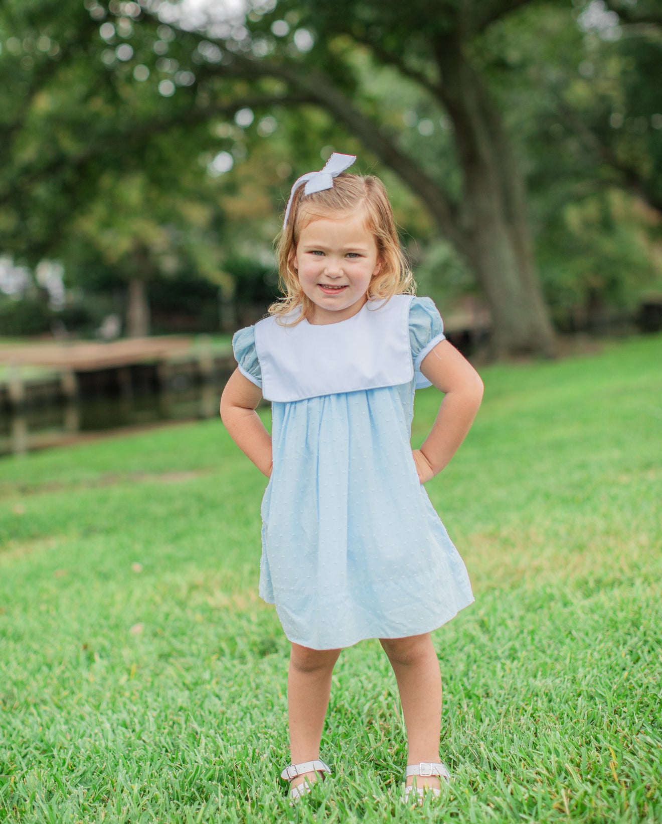 Calla collared dress in blue Swiss dot