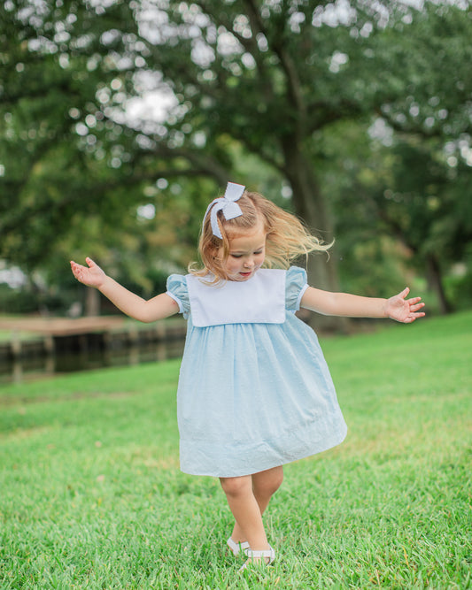Calla collared dress in blue Swiss dot