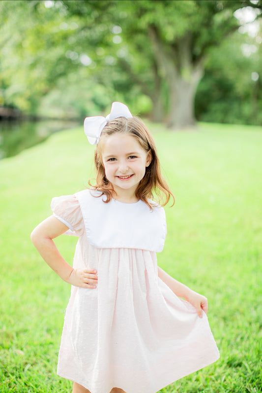 Calla collared dress in pink Swiss dot